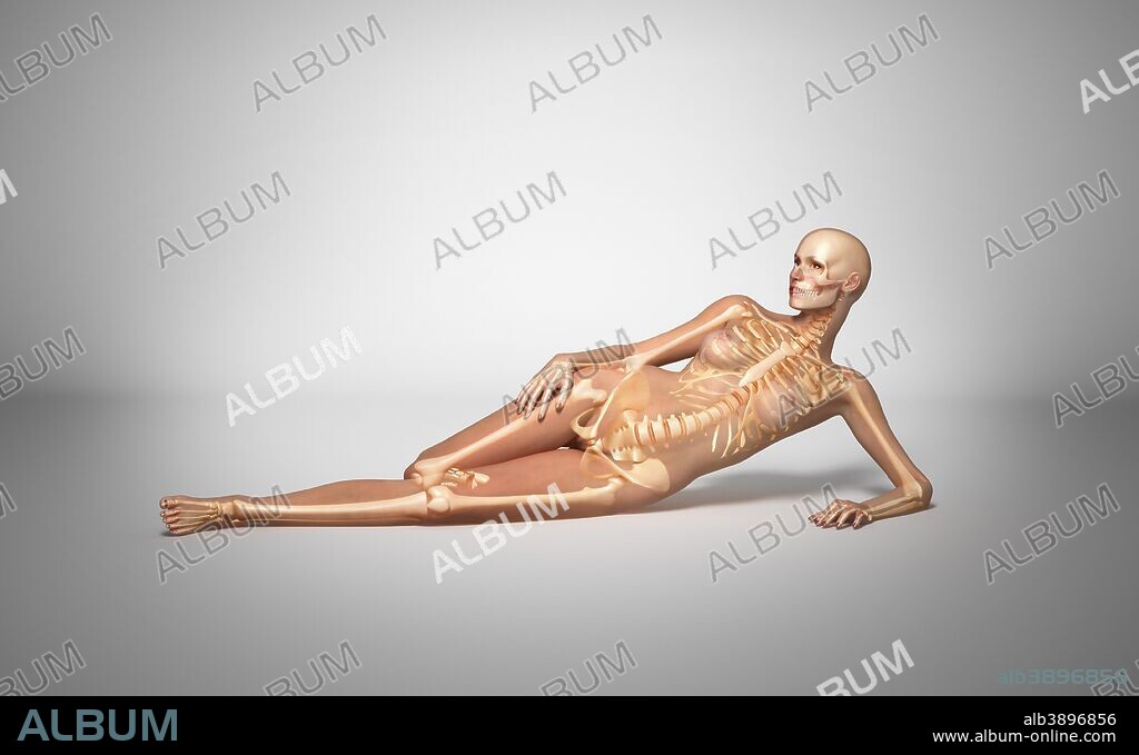 Medical illustration of a naked woman laying down on floor with skeletal bones superimposed.