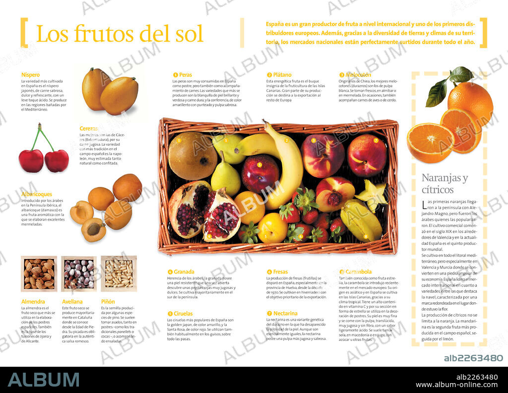 Los frutos del sol. Infografía sobre las variedades de frutas que se cultivan y forman parte de la dieta en España.