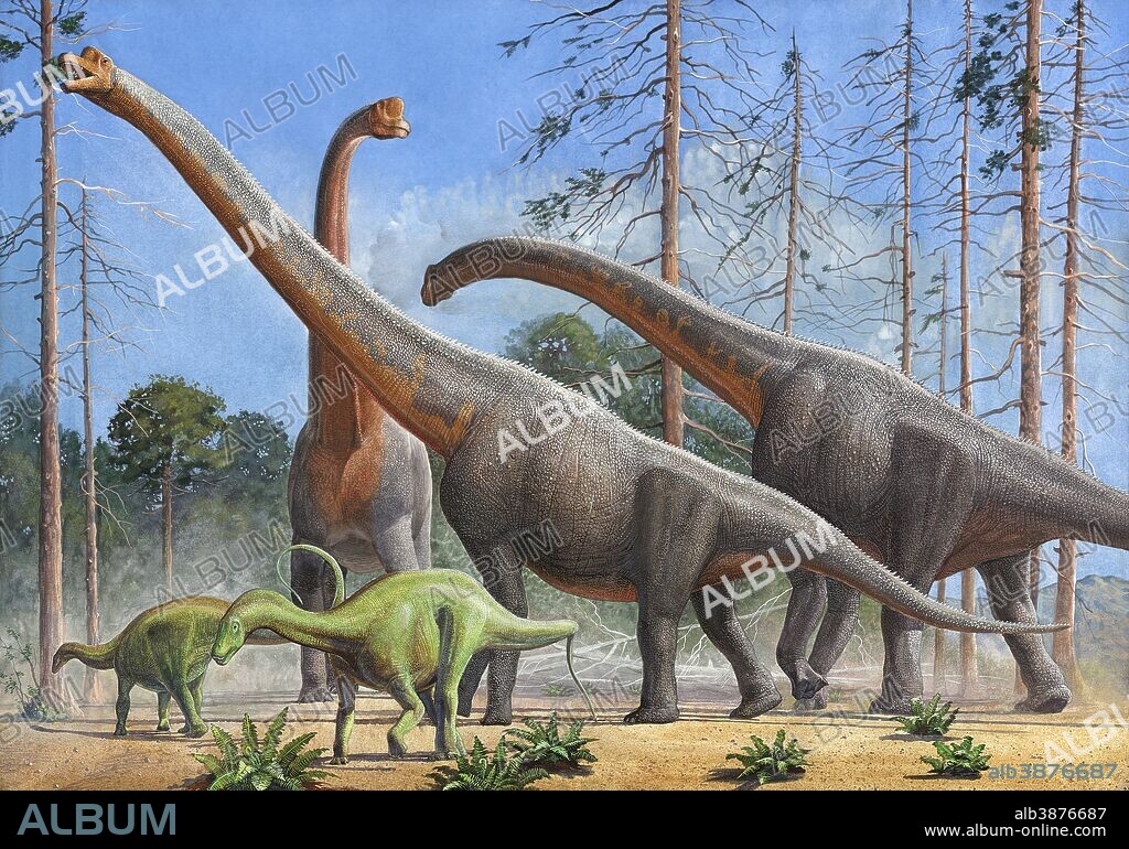 Giraffatitan and Dicraeosaurus dinosaurs grazing in a prehistoric environment.