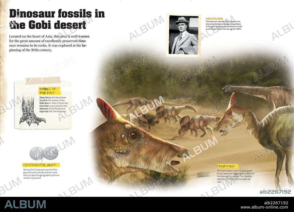 Fósiles de dinosaurios en el desierto de Gobi. Infografía de los fósiles de dinosaurios del período Cretácico hallados en el desierto del Gobi, en Asia Central.