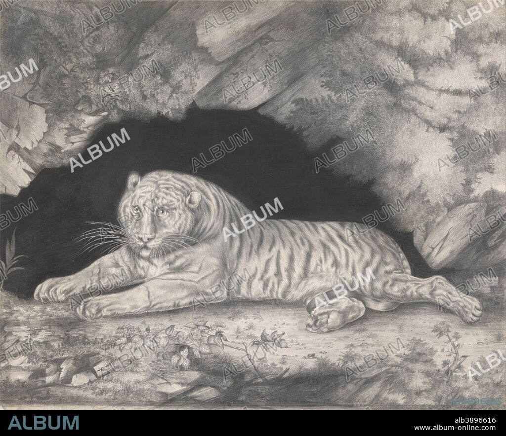ELIZABETH PRINGLE. A Tiger Lying in the Entrance of a Cave. Date/Period: 1796. Drawing. Graphite and pen and black ink on moderately thick, slightly textured, cream wove paper. Height: 489 mm (19.25 in); Width: 610 mm (24.01 in).