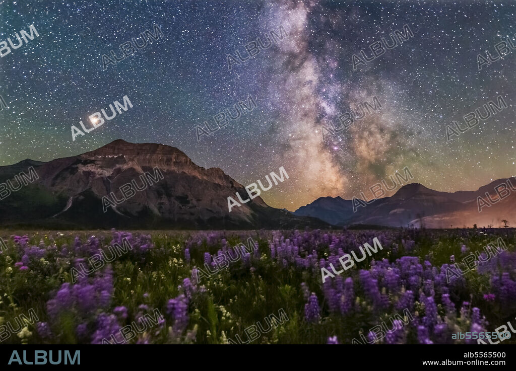 A flower-filled meadow at the Hay Barn Road at Waterton Lakes National Park, Alberta, with the summer Milky Way and Mars to the south over Waterton Valley and Vimy Peak at left. Mars is the bright object at left, and Saturn is dimmer in the Milky Way at right of centre, left of the pink Lagoon Nebula. Green bands of airglow tint the sky. Waterton Lakes is a World Heritage Site and Dark Sky Preserve.