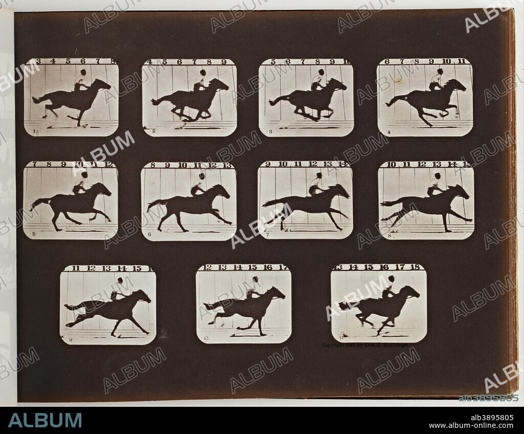 EADWEARD MUYBRIDGE. Sallie Gardner Running from The Attitudes of Animals in Motion. Date/Period: 1878. Matte albumen print on printing out paper. Width: 9.06 in. Height: 6.8 in.