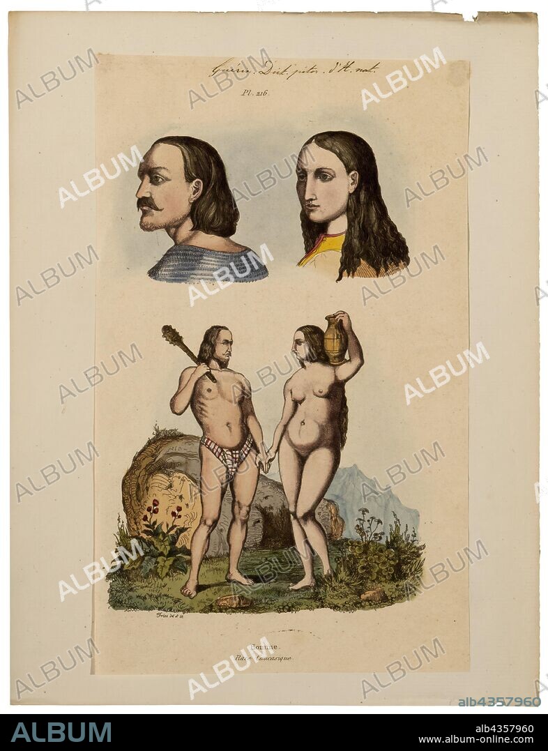 Homo sapiens, Print, Homo sapiens is the only extant human species. The name is Latin for "wise man" and was introduced in 1758 by Carl Linnaeus (who is himself the lectotype for the species)., Caucasian.