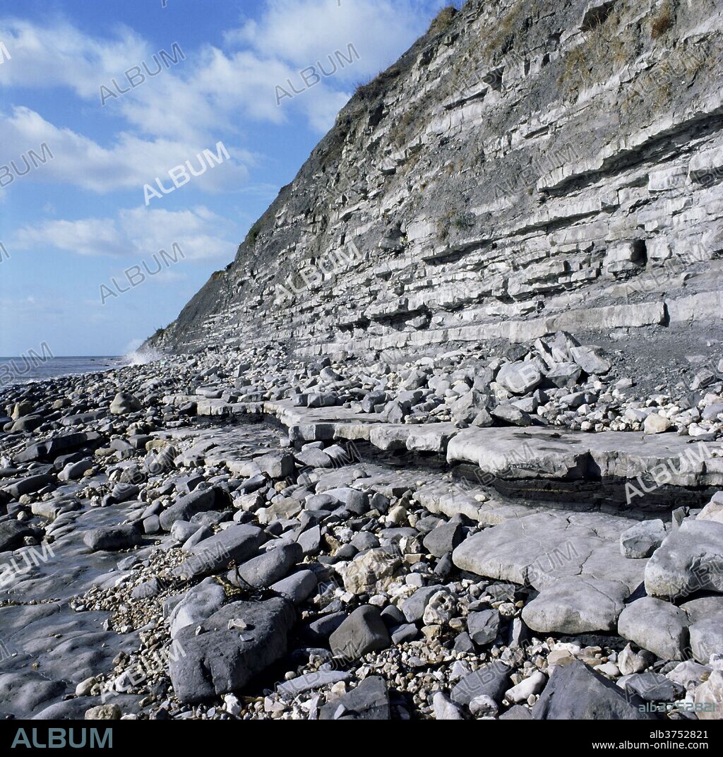 Fossil bearing lias beds, Seven Rock Point, Jurassic Coast, UNESCO World Heritage Site, Lyme Regis, Dorset, England, United Kingdom, Europe.