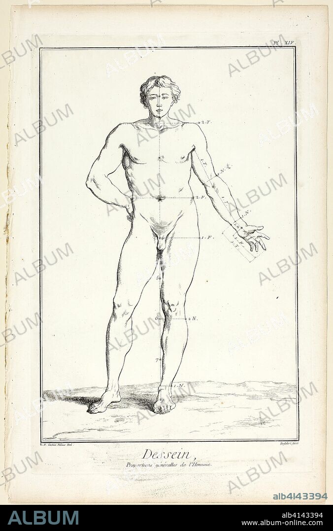 Design: General Proportions of the Male, from Encyclopédie. A. J. Defehrt (French, active 18th century); after Charles-Nicholas Cochin, the younger (French, 1715-1790); published by André le Breton (French, 1708-1779), Michel-Antoine David (French, c. 1707-1769), Laurent Durand (French, 1712-1763), and Antoine-Claude Briasson (French, 1700-1775). Date: 1762-1777. Dimensions: 400 × 260 mm. Etching, with engraving, on cream laid paper. Origin: France.