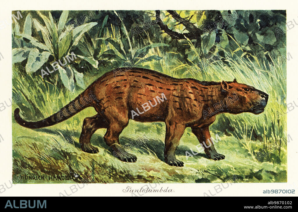 Pantolambda, extinct genus of Paleocene pantodont mammal, middle Paleocene. Pantolambda bathmodon. Colour printed illustration after Heinrich Harder from Wilhelm Bolsches Tiere der Urwelt (Animals of the Prehistoric World), Reichardt Cocoa company, Hamburg, 1908. Heinrich Harder (1858-1935) was a German landscape artist and book illustrator.