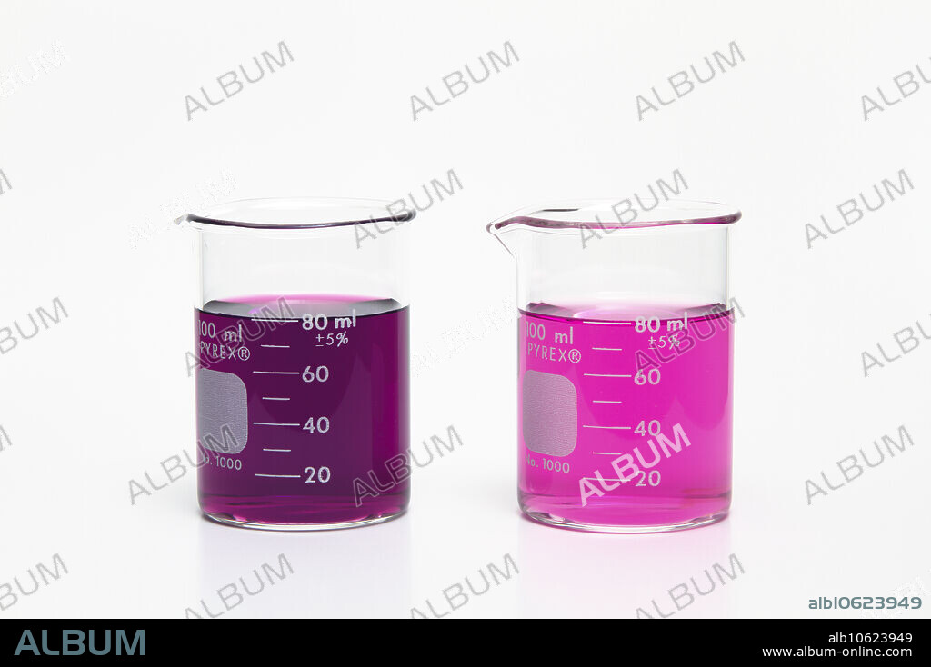 Solutions of different concentrations. Two beakers contain solutions of potassium permanganate in water. The amount of water is the same in both beakers but the left beaker contains 5 times more solute than the right beaker. Hence the solvent in the left beaker is 5 times more concentrated than it is in the right beaker and appears darker.