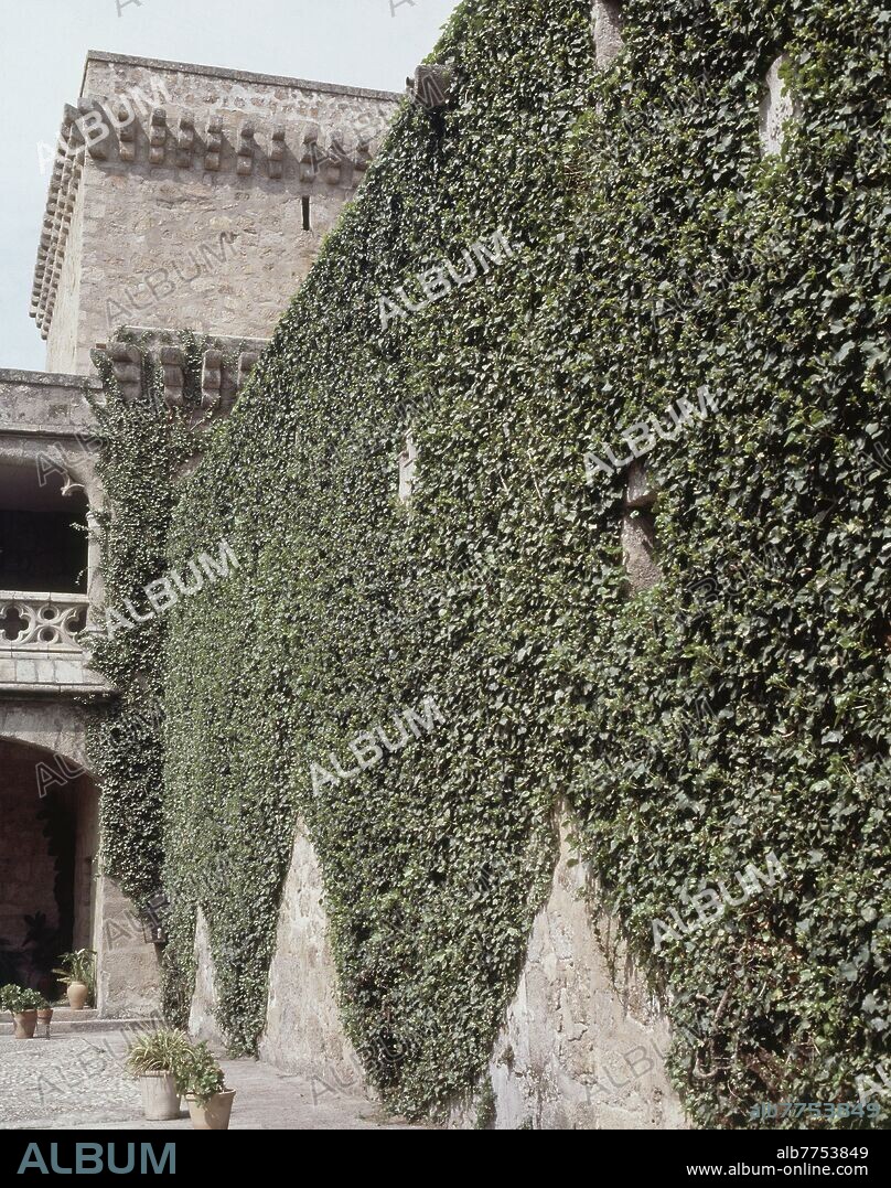 CASTILLO DE LOS CONDES DE OROPESA-HIEDRA EN LA PARED Y TORRE CUADRADA.