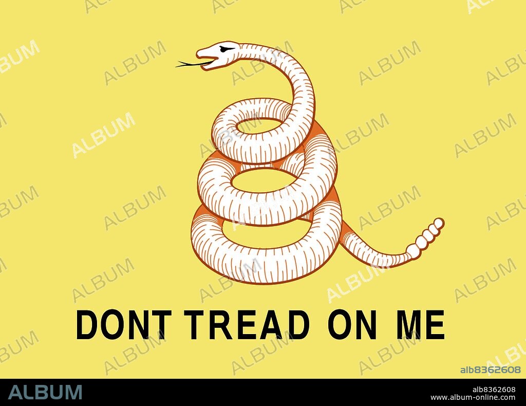 Historical flag of the United States of America. Hoisted 1776–78, this was the personal rank flag of the first naval commander in chief, Commodore Esek Hopkins.