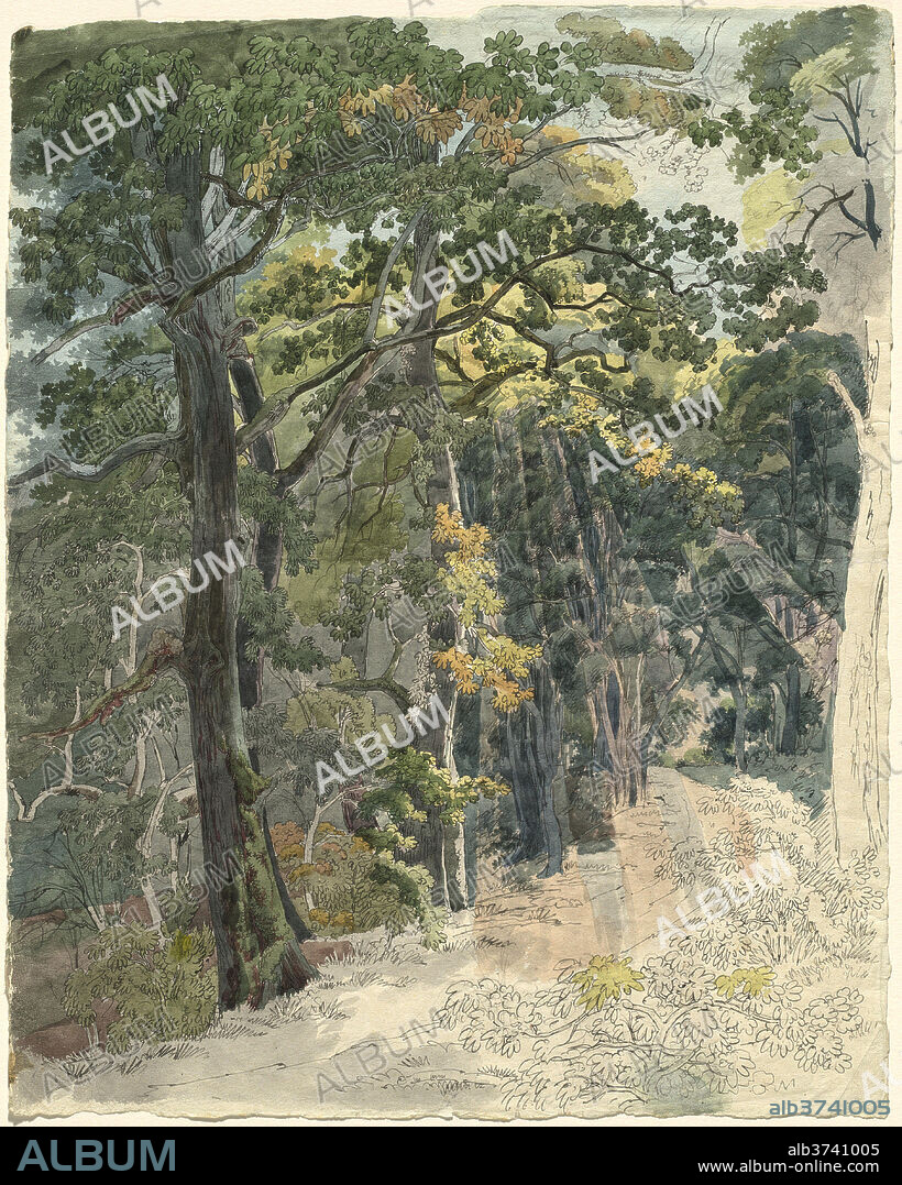 FRIEDRICH SALATHÉ. Rays of Sunlight Striking a Woodland Path. Dated: c. 1815. Dimensions: sheet: 42.8 x 34 cm (16 7/8 x 13 3/8 in.). Medium: pen and black ink with watercolor over graphite on wove paper.