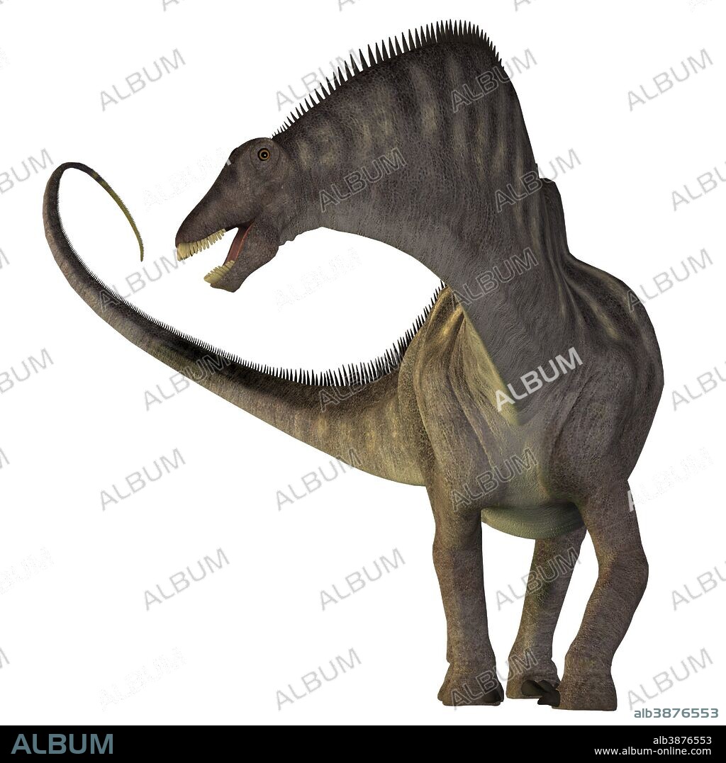 Amargasaurus dinosaur. Amargasaurus was a herbivorous sauropod that lived in Argentina during the Cretaceous Period.