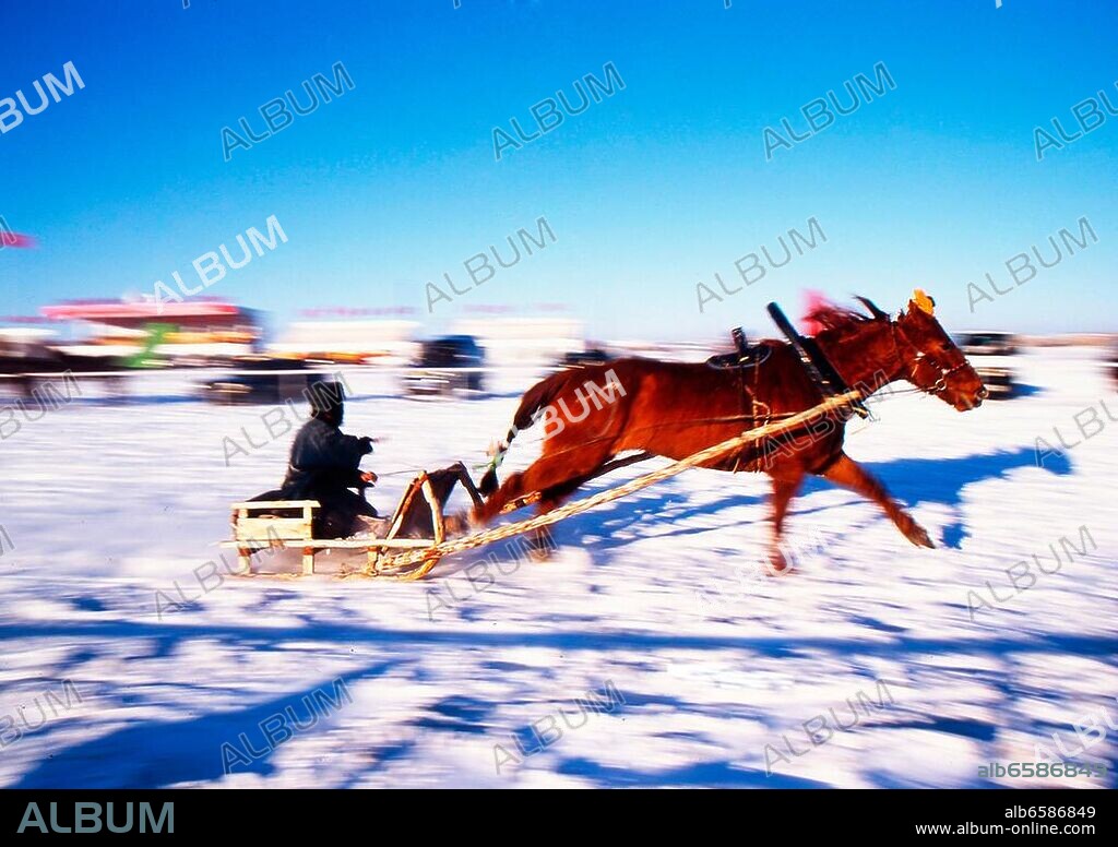 Race of horse pulling sled in winter Nadam Fair, Hulunbuir Grassland, Inner Mongolian Autonomous Region, December 2003.