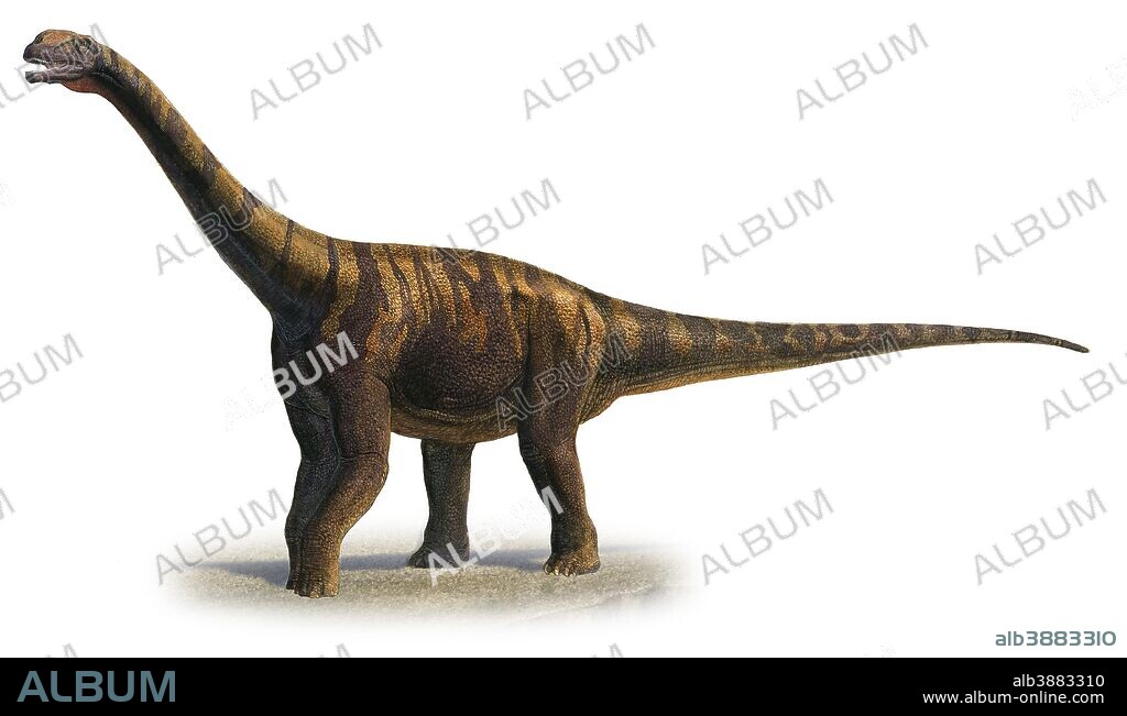 Abrosaurus dongpoi, a prehistoric era dinosaur from the Middle Jurassic period.