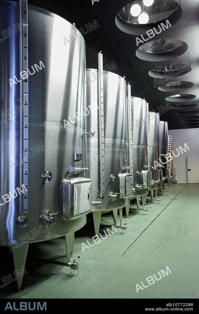Txakoli wine, Bodega Katxiña, Orio, Gipuzkoa, Basque Country, Spain, Europe.