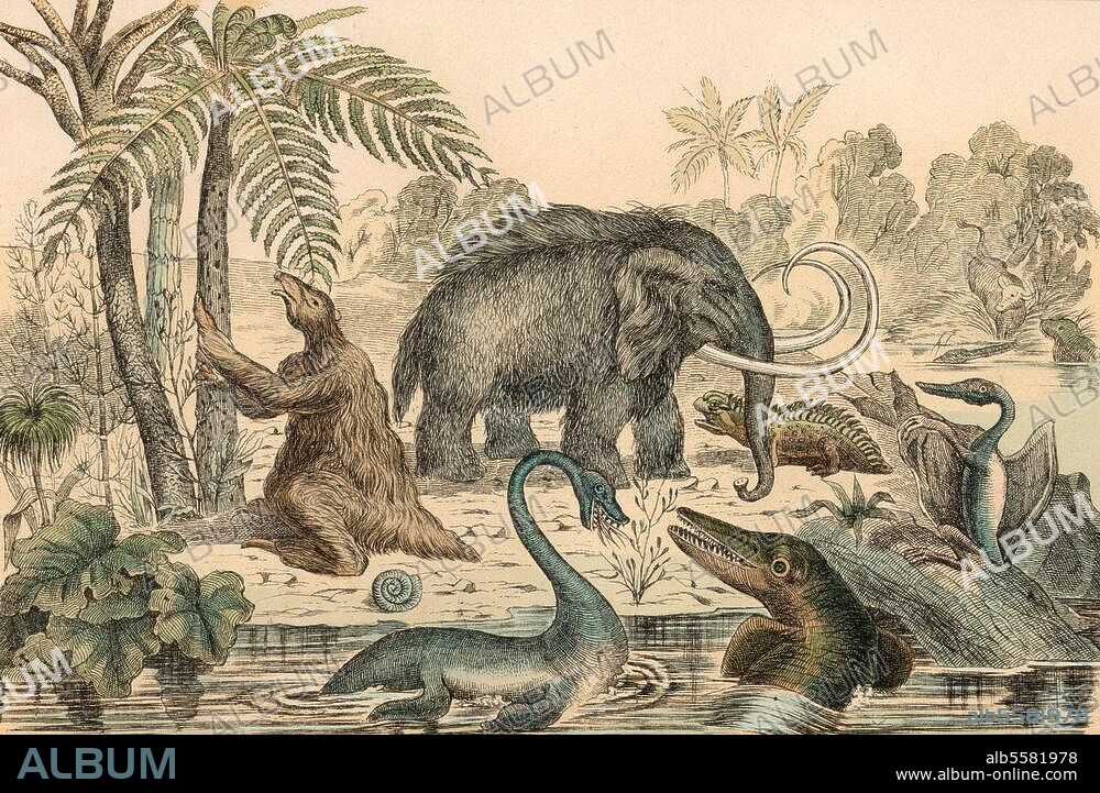 ANONYMOUS. re: Zoology / Palaeozoology / Mammoth:. "Prehistoric animals". (Mammoth a. o.). Colour wood engraving (book illustration), no further details. C. 1880. Berlin, Sammlung Archiv für Kunst und Geschichte.