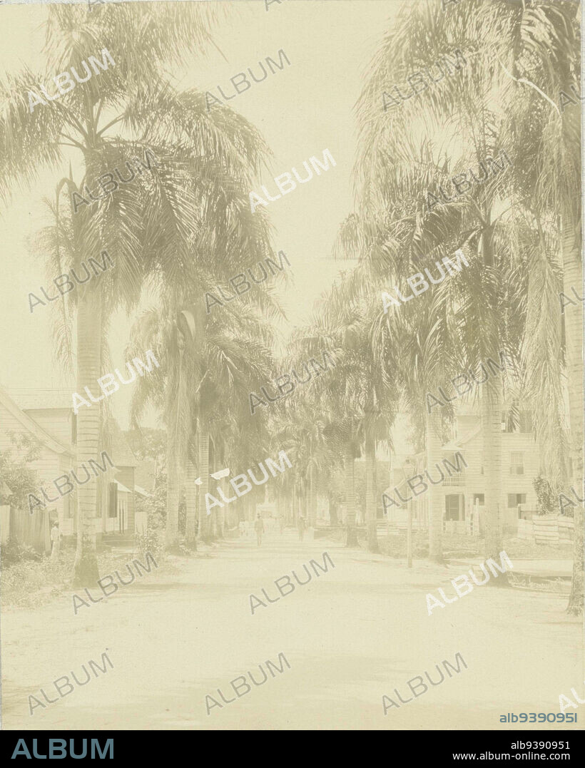Jodenbreestraat in Paramaribo, View in the Jodenbreestraat in Paramaribo, 1908. Part of the photo album of the Boom-Gonggrijp family in Suriname and Curaçao., Andries Augustus Boom, anonymous, Paramaribo, 1908, photographic support, height 133 mm × width 105 mm.