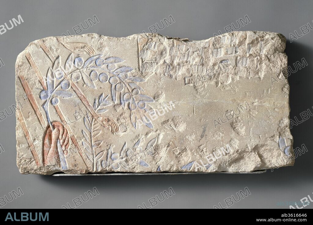 Hand Clutching an Olive Branch. Dimensions: H. 8 11/16 in. (22 cm). Dynasty: Dynasty 18. Reign: reign of Akhenaten. Date: ca. 1353-1323 B.C..
In this fragment only the beautifully carved left hand of Akhenaten remains, holding a heavily laden branch of olives that appears to be caressed by the hands of the sun's rays. The entire scene would have shown the king standing directly beneath the sun disk, facing what appears to be the olive tree from which he may have cut the branch. The upper boughs of the tree are to the right along the lower edge of the block. The text in the upper right has been intentionally destroyed, leaving only a few traces of the hieroglyphs.
This relief is currently on long-term loan to the Ägyptisches Museum und Papyrussammlung in Berlin in exchange for two heads in plaster that were excavated at Amarna. These heads are on display in the Museum's Amarna gallery (gallery 17, Egyptian art).