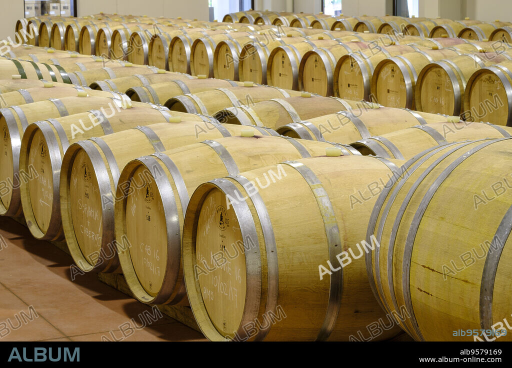 bodegas Miquel Oliver, Petra, Mallorca, balearic islands, spain, europe.