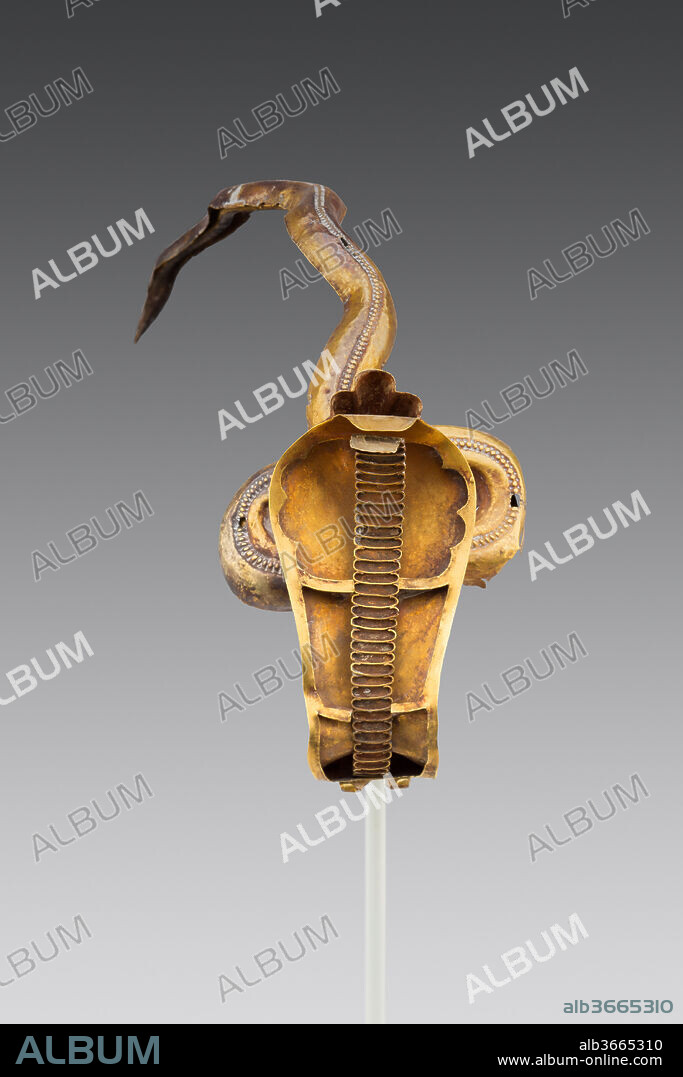 Uraeus. Dimensions: as mounted: L. 20 × W. 8 cm (7 7/8 × 3 1/8 in.). Dynasty: Dynasty 22. Date: 945-712 BC.
The cobra represents the goddess Wadjet, a very ancient goddess who is associated with royalty. When the snake is worn over the king's brow, its head raised and hood dilated ready to attack if needed, it is called a uraeus. The uraeus constitutes the consummate symbol of royalty. As time passes it is also worn by royal women and certain gods.
This uraeus is assembled from hammered gold and electrum sheets and strips; the snake's head and hood form one component, which was inserted into the coils and tail that form a second. The separate head element and inlays of the first component are now missing.The uraeus hood was probably originally inlaid in colors of red, turquoise, and dark blue. Traces of Egyptian blue suggest that material may have been used for some of the inlays. The long shallow curve of the tail would seem to suit a funerary mask, but the uraeus had been deformed and was restored, so the shape is not original.
The uraeus was said at the time of acquisition to be from Tanis, capital and burial site of the Third Intermediate Period kings of Dynasty 22. This seems likely for a number of reasons, but cannot be confirmed. The relevant royal tombs were excavated just prior to World War II, but none of the excavation records document this piece.