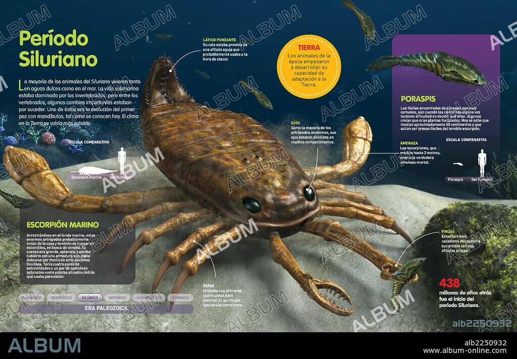 Período Siluriano. Infografía de los animales que habitaron el fondo oceánico en el período Silúrico (hace 438 millones de años).