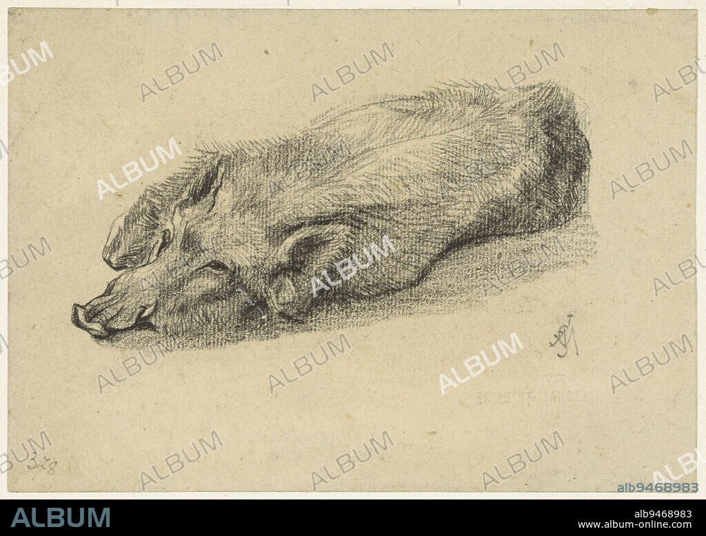 Lying pig, head to the left, draughtsman: Charles Edmé Saint-Marcel-Cabin, 1829 - 1890, paper, h 144 mm × w 203 mm.
