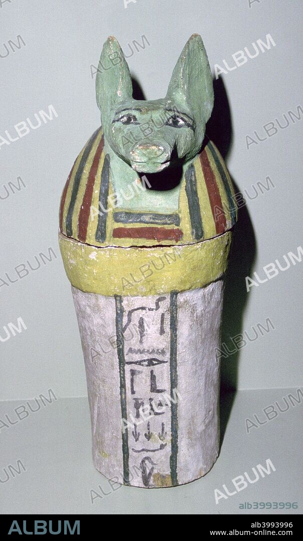 Jackal-headed wooden canopic jar for the storage of organs, Egyptian, 25th Dynasty, c700 BC. The head represents Duamutef, one of the four sons of Horus, and held the stomach. From the British Museum's collection.