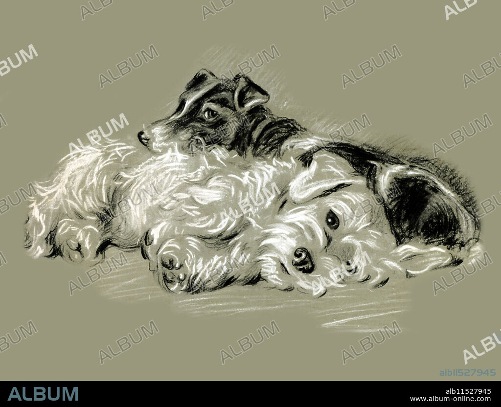 Cover art from an illustrated book on dogs entitled "Dogs Rough & Smooth" by Lucy Dawson, 1944.