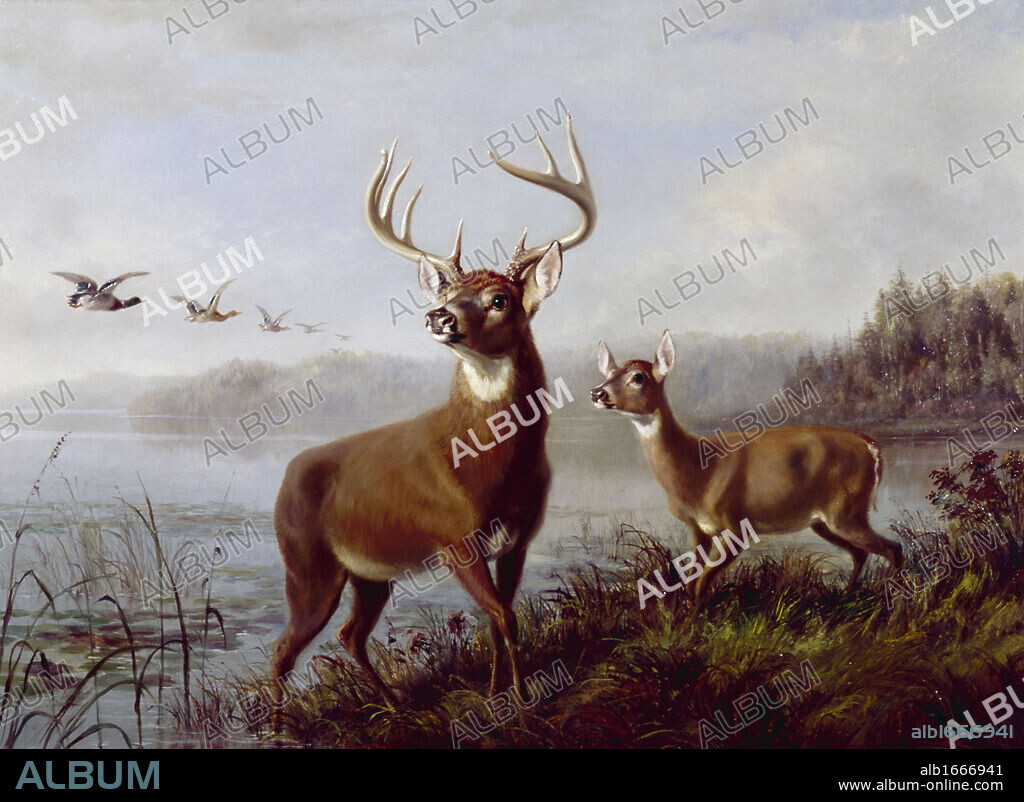 Buck and Doe Alerted by Arthur Fitzwilliam Tait, (1819-1905).