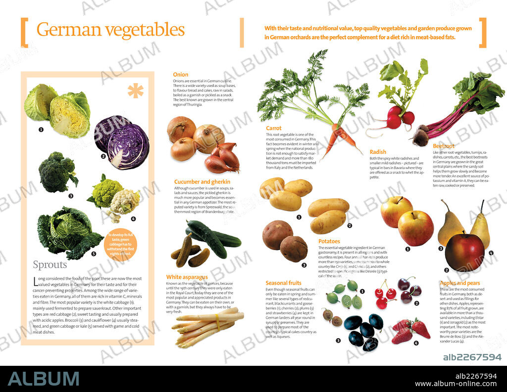 Verduras y hortalizas alemanas. Infografías sobre las variedades de hortalizas, verduras y frutas que se consumen en Alemania como acompañamiento de la carne.