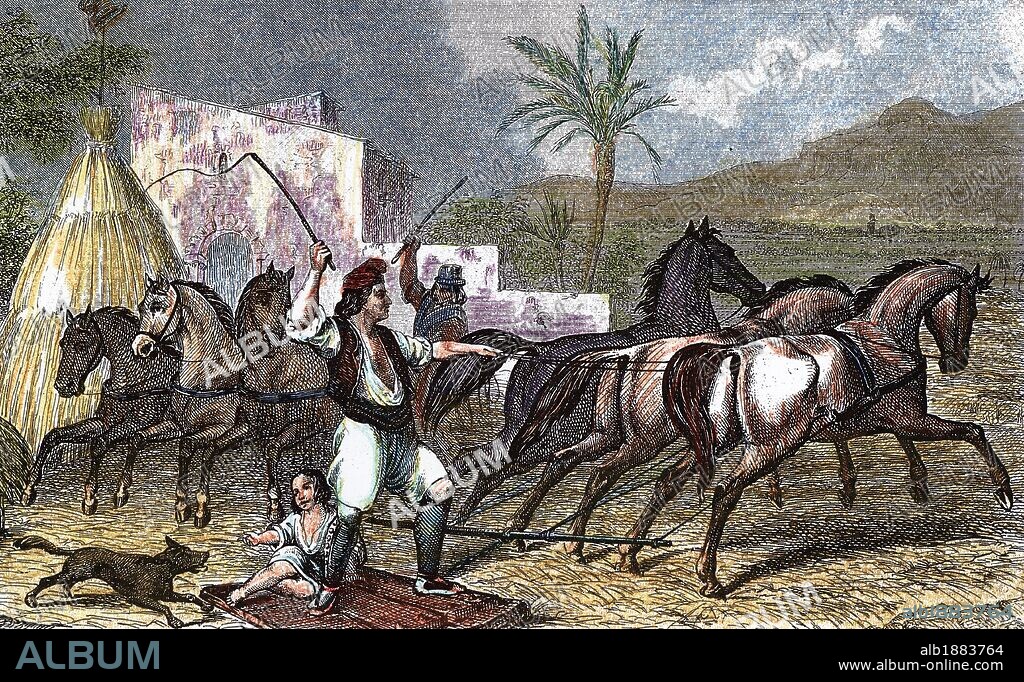 MUNDO RURAL. HISTORIA DE ESPAÑA. "CAMPESINO CATALAN TRILLANDO CON AYUDA DE CABALLOS". Grabado coloreado del siglo XIX.