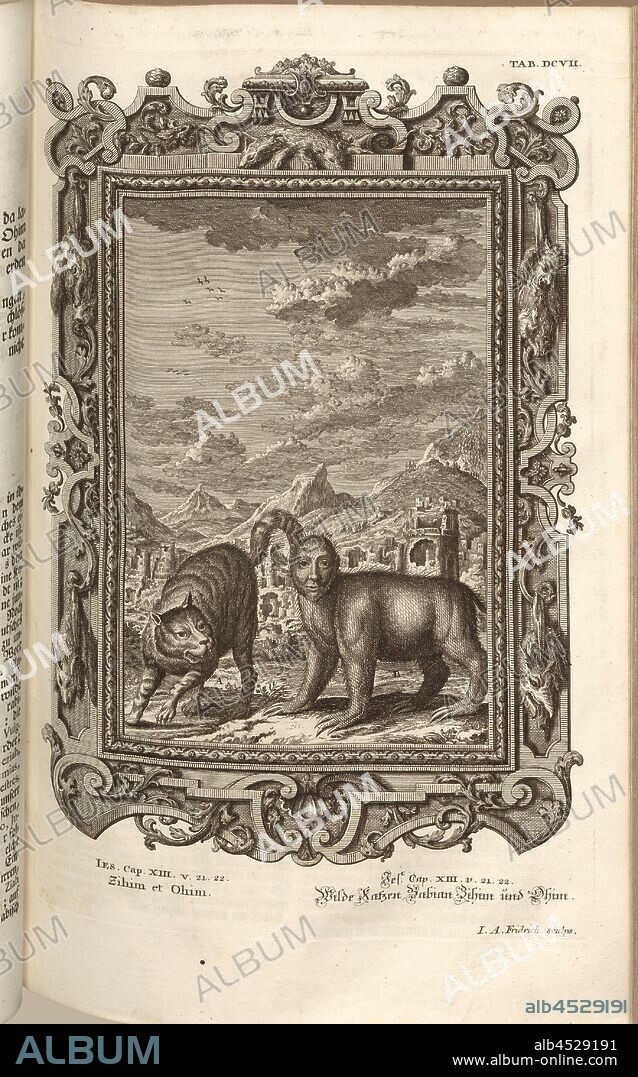Jhintet, Parallel title: Wild Cats, Babian, Zihim and Ohim, Signed: J. A. Fridrich sculps, copperplate engraving, plate DCVII, Füssli, Johann Melchior; Fridrich, Jacob Andreas (sculps.), 1731, Johann Jakob Scheuchzer: Kupfer-Bibel (...). Augspurg und Ulm: gedruckt bey Christian Ulrich Wagner, 1731-1735.