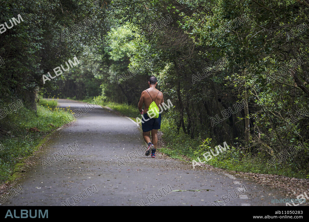 man burning calories walking, road under the forest, Buciero mountain, Santoña, Cantabria, Spain.