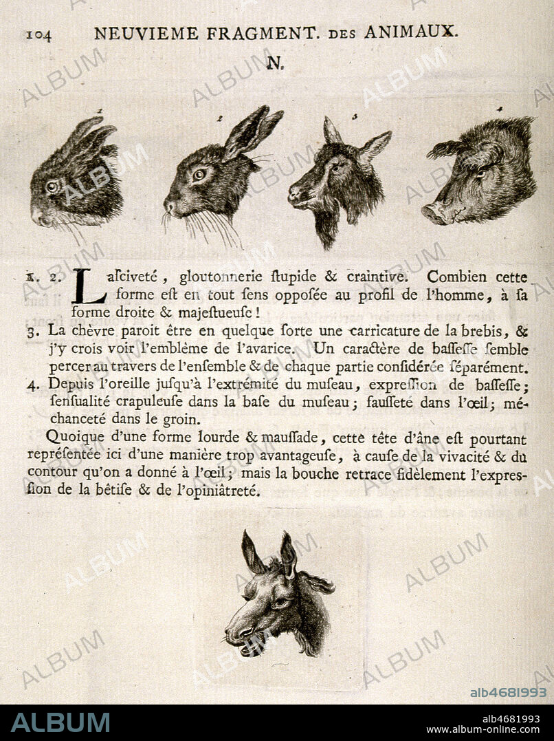 Tetes de brebis, lievre, cochon, ane, et les vices qu'elles revelent. Illustration tiree de l'ouvrage de LAVATER (1741-1801) 'Essai sur la physiognomonie', publie en 1781. (18e, 18eme, XVIIIeme s.) Credit : JEAN VIGNE / KHARBINE-TAPABOR.