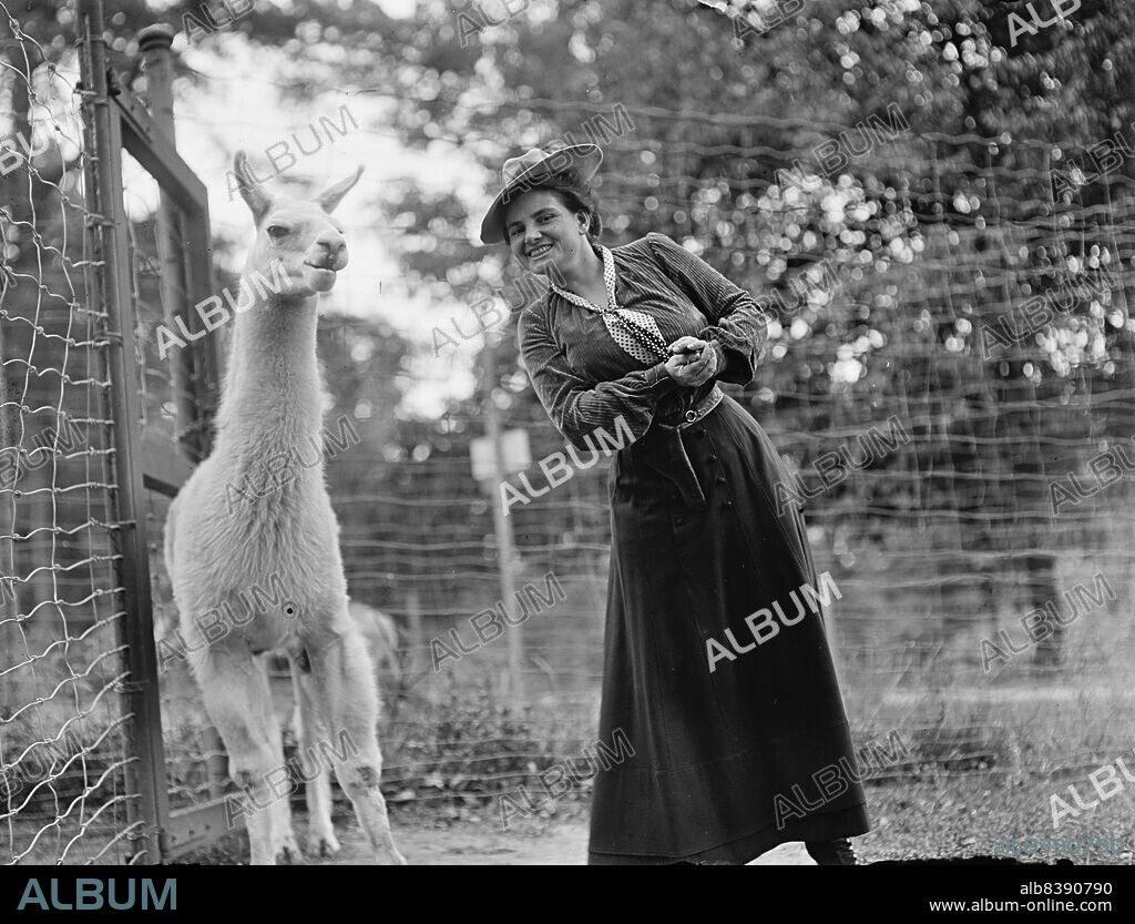HARRIS & EWING. Mrs. Franklin Adams, nee Harriet Chalmers, at Zoo with Llama, 1912. [American explorer, writer and photographer Harriet Chalmers Adams. She lectured frequently on her extensive travels in South America, Asia and the South Pacific, and illustrated her talks with colour slides and films. She also published accounts of her journeys in National Geographic magazine. Married to Franklin Pierce Adams].