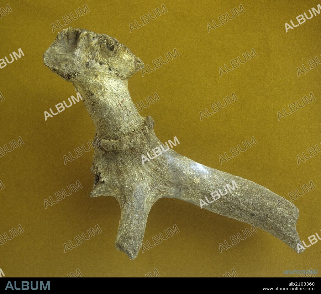 RESTOS OSEOS DE FAUNA DEL PALEOLITICO: ASTA DE CIERVO, PROCEDENTE DEL VALLE DEL MANZANARES (DEPOSITO: MUSEO ARQUEOLOGICO NACIONAL).