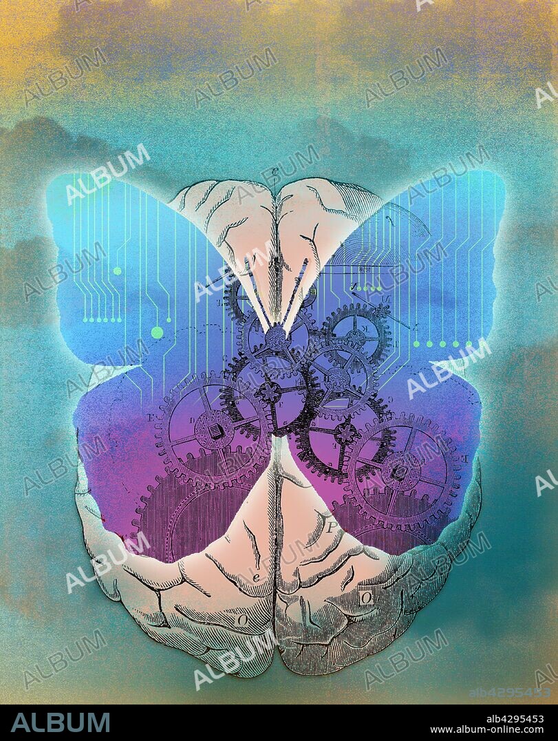 Butterfly with cogs and circuit board on top of human brain.
