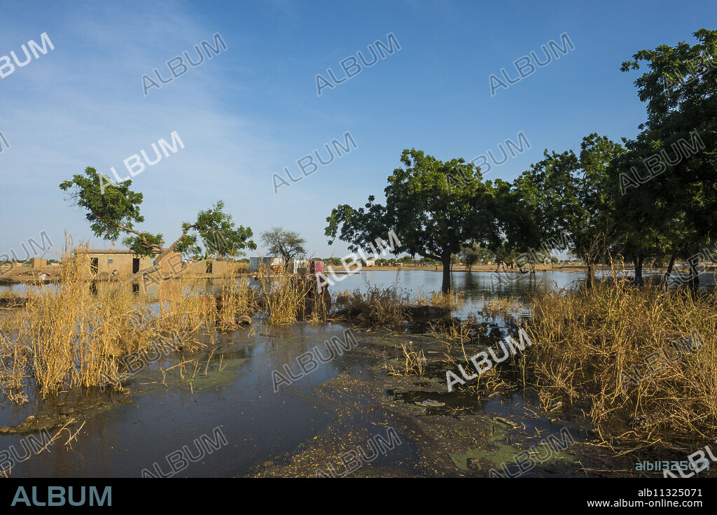 Outflows of the Chari River, Gaoui, near N'Djamena, Chad, Africa.