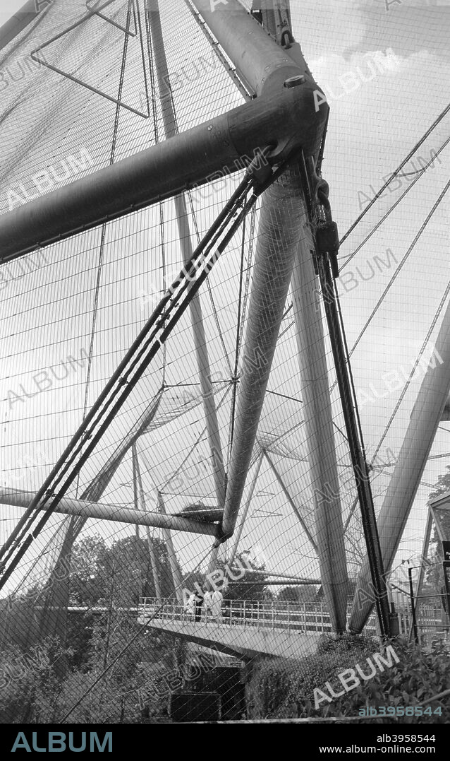 Northern Aviary, Zoological Gardens, Regent's Park, Westminster, London, c1965. The northern avairy at London Zoo, which was designed by Lord Snowdon, Cedric Price and Frank Newby, and built between 1962 and 1964.