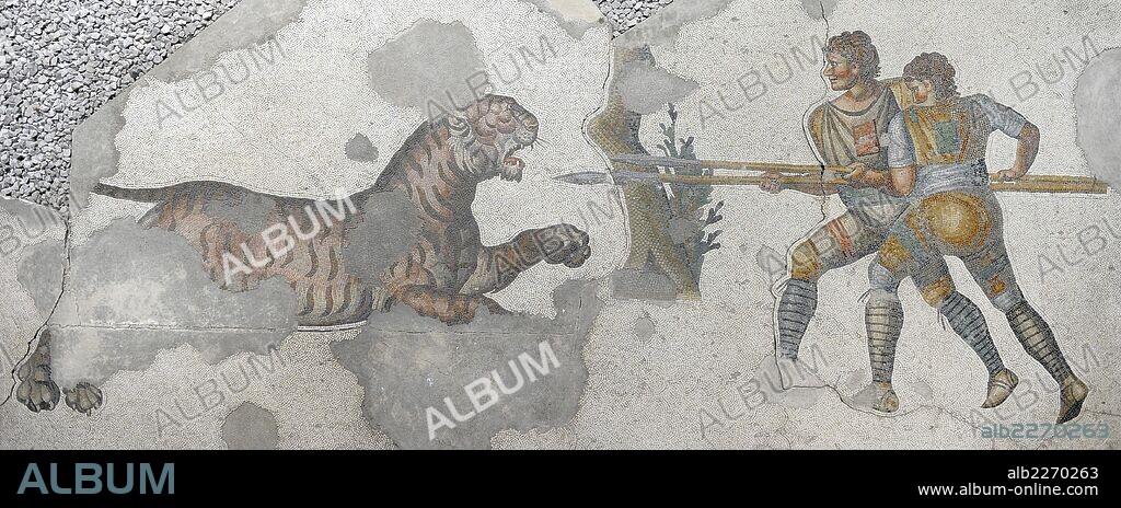 Great Palace of Constantinople (East Roman period). Detail of one of the mosaics that decorated the pavements. Gladiators fighting a tiger. 4th-6th century. Great Palace Mosaics Museum. Istanbul, Turkey.