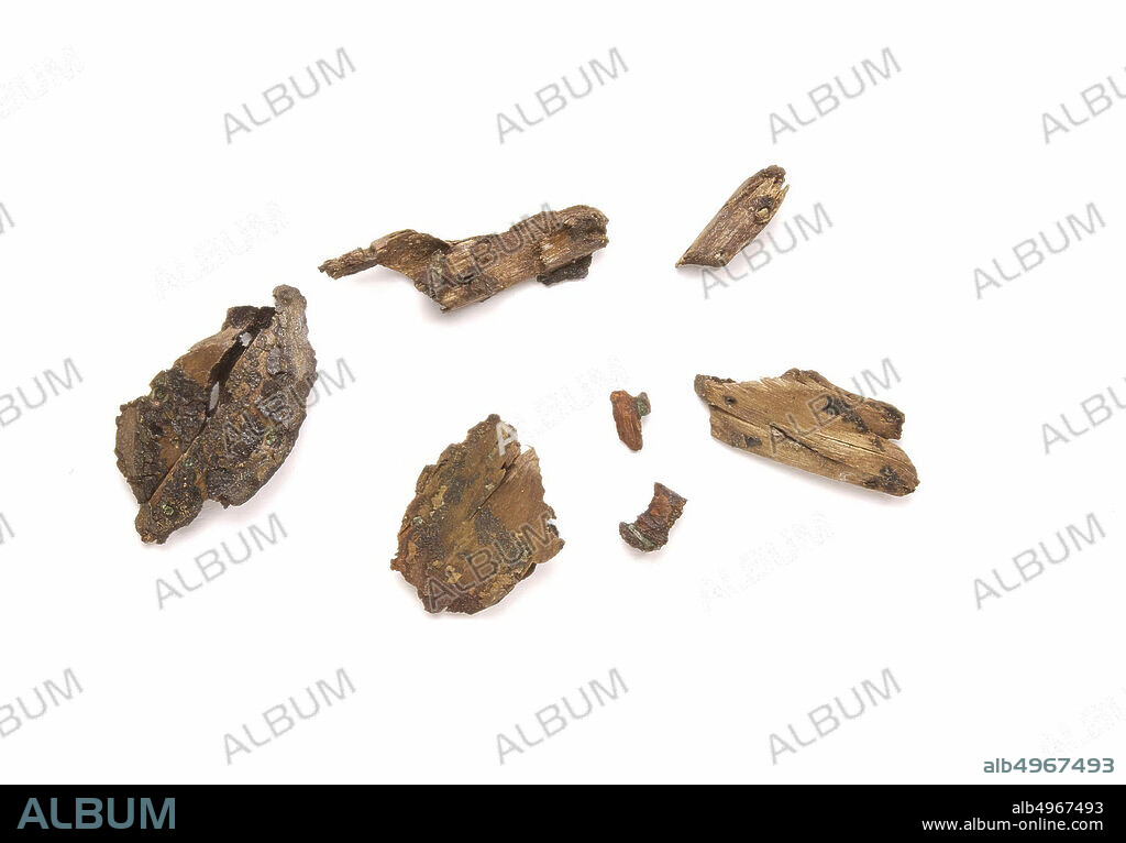 Under this number, according to the catalog, there are remnants of at least eleven lozenge shield shells. The bronze plates were attached to the outside of the shield with half-ball-shaped heads. At c and d these woodchests have been preserved., Fragments, wood fragments (7x), organic, wood, vmea 400-450, the Netherlands, Utrecht, Rhenen, Rhenen, grave 833.