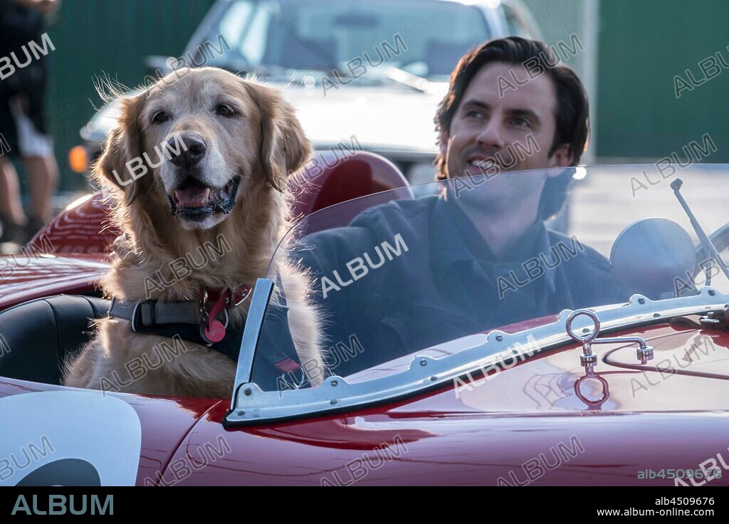 MILO VENTIMIGLIA en EL ARTE DE VIVIR BAJO LA LLUVIA, 2019 (THE ART OF RACING IN THE RAIN), dirigida por SIMON CURTIS. Copyright FOX 2000 PICTURES.