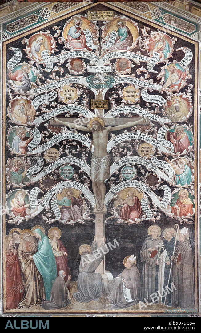 Basilica of the Holy Cross: ""Tree of Life and Last Supper", about 1350, by Taddeo Gaddi, detached fresco. Detail of the Tree of Life and of the Crucifixion. The Cross is a tree whose twelve branches bear medallions with prophets. At the base, the Virgin, the pious women, St. John the Evangelist, St. Francis, St. Louis of Toulouse, St. Anthony of Padua and St. Dominic.
