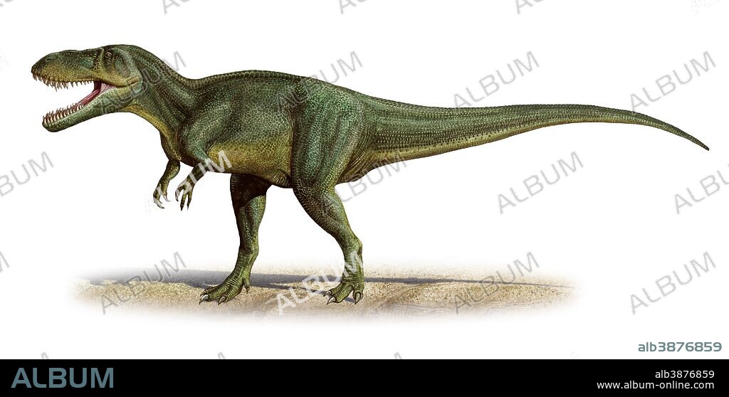 Torvosaurus tanneri, a prehistoric era dinosaur from the Late Jurassic period.