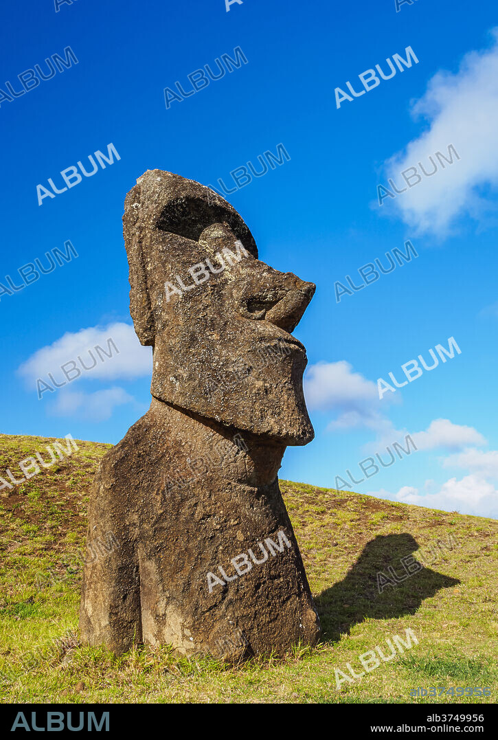 Moai at the quarry on the slope of the Rano Raraku Volcano, Rapa Nui National Park, UNESCO World Heritage Site, Easter Island, Chile, South America.