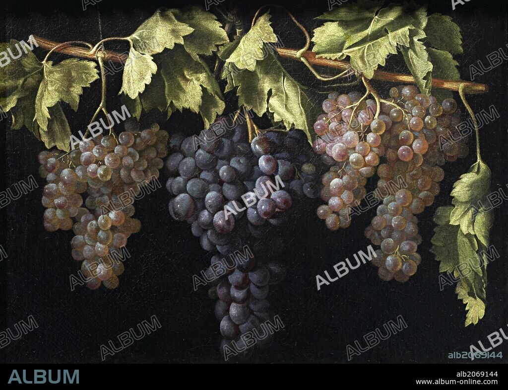 JUAN FERNÁNDEZ. Juan Fernández 'el Labrador' / 'Bodegón con cuatro racimos de uvas', Hacia 1630, Escuela Española, Óleo sobre Lienzo, 44 cm x 61 cm, P07904.
