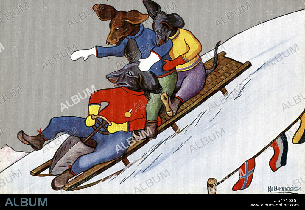 Des chiens font de la luge ou du bobsleigh. Illustration par K. HESSE pour une carte postale vers 1910, serie sur des animaux au sport d'hiver. Credit : Collection IM/KHARBINE-TAPABOR.