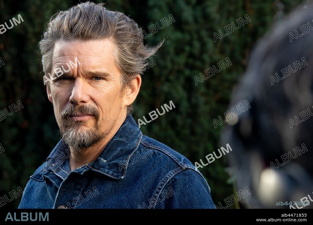ETHAN HAWKE en LA VERDAD, 2019 (LA VERITE), dirigida por HIROKAZU KOREEDA. Copyright 3B PRODUCTIONS.
