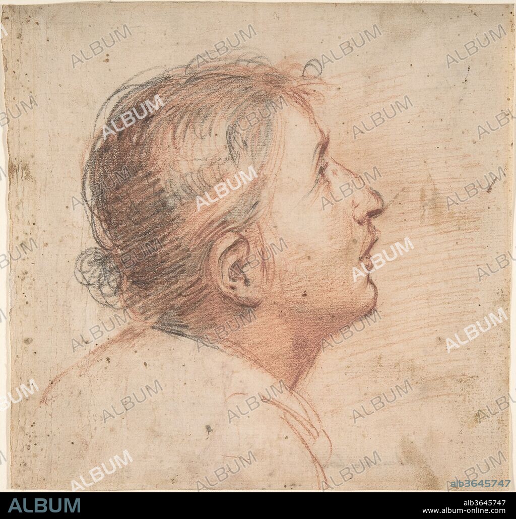 Youth Gazing Upwards in Profile. Artist: Francesco Montelatici ("Cecco Bravo") (Italian, Florence 1601-1661 Innsbruck). Dimensions: 7 11/16 x 7 7/8in. (19.5 x 20cm). Date: 1607-61.