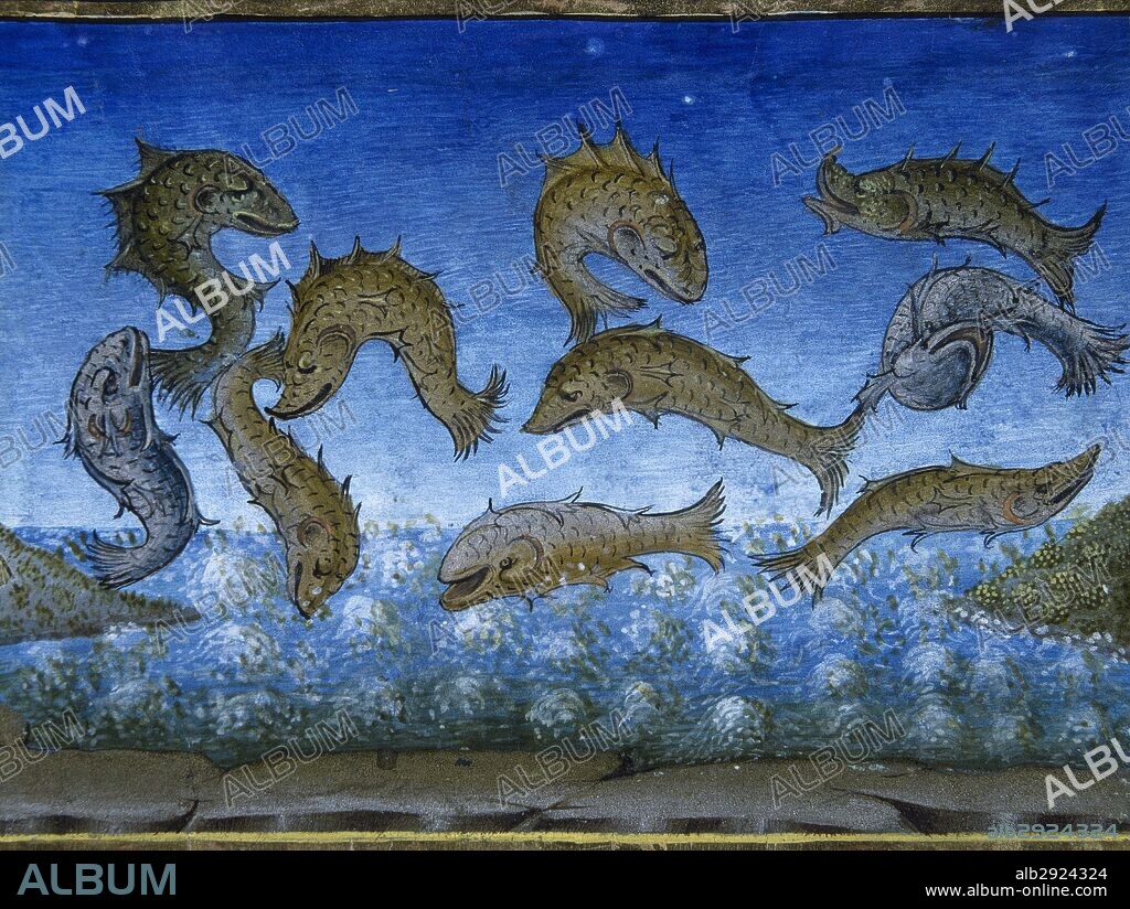 NUEVO TESTAMENTO. "EL FIN DEL MUNDO Y EL JUICIO UNIVERSAL: LOS PECES SOBRE EL MAR" (3er. tiempo). Página miniada del CODICE DE PREDIS (1476). Renacimiento-Quattrocento (sigloXV). Biblioteca Real. Turín. Italia.